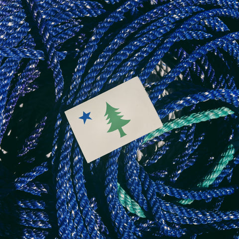 Maine Bicentennial 1901 Flag Sticker