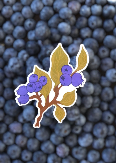 Blueberry Branch Sticker