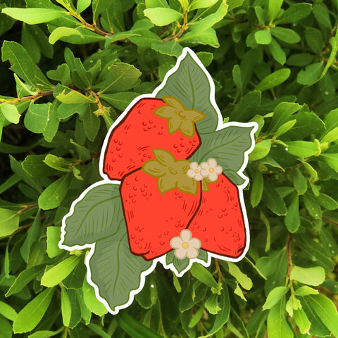 Strawberry Sticker