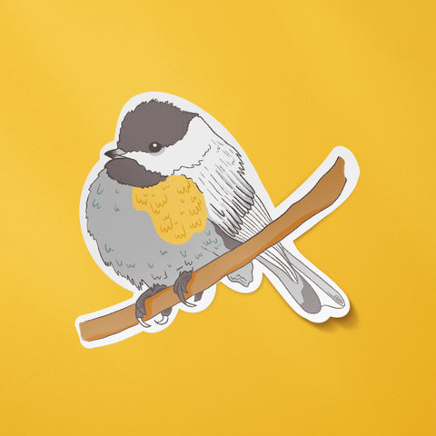 Chickadee Bird Sticker